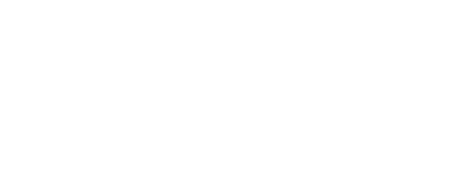 BlessBack Business Academy